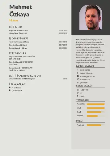 cv indir